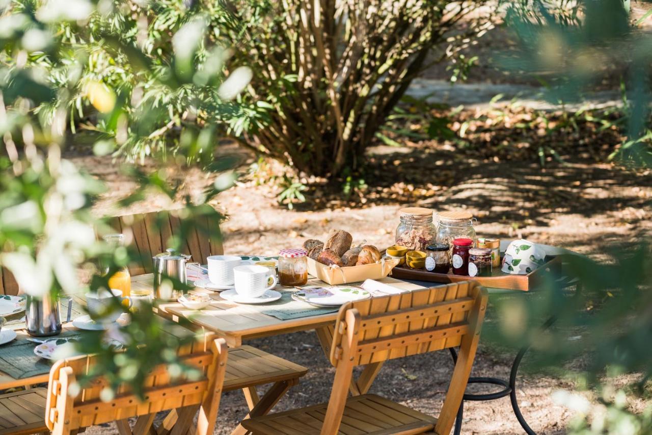 La Closerie Des Iris Castelnau-d'Aude Luaran gambar