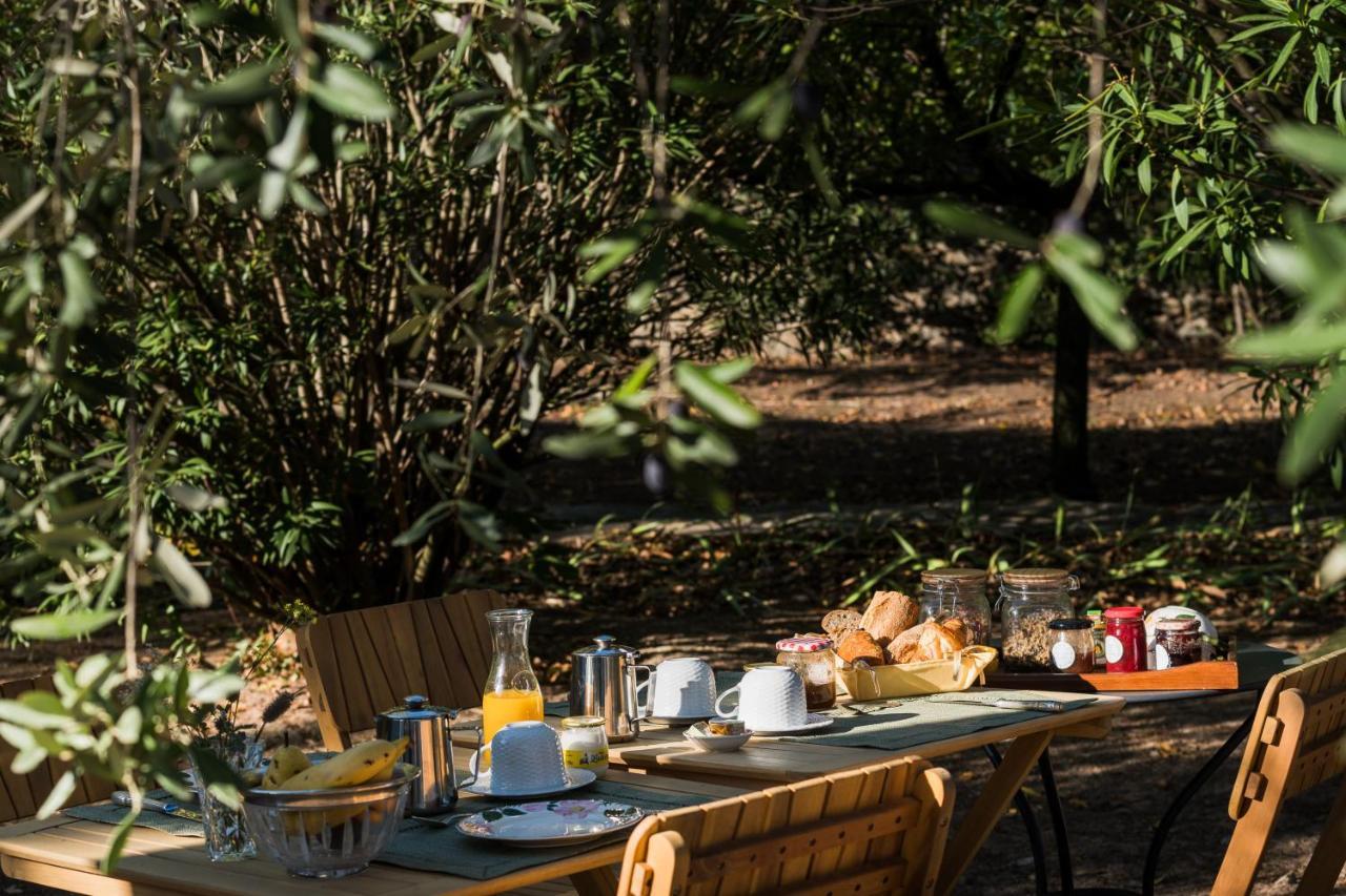 La Closerie Des Iris Castelnau-d'Aude Luaran gambar