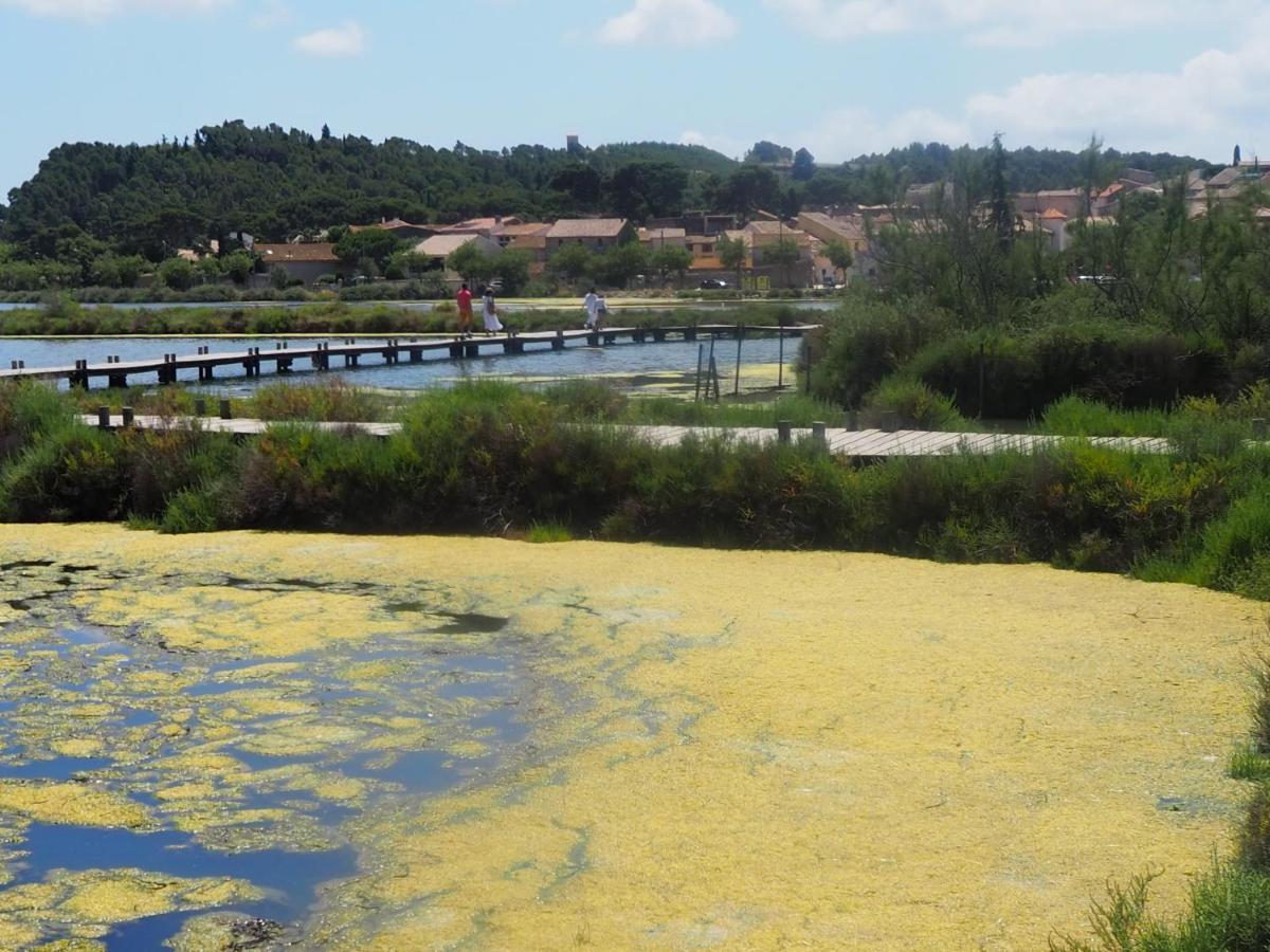 La Closerie Des Iris Castelnau-d'Aude Luaran gambar